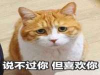 江苏昌仁贸易有限公司