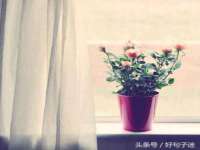 江苏昌仁贸易有限公司