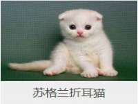 江苏昌仁贸易有限公司