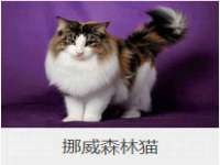江苏昌仁贸易有限公司