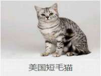 江苏昌仁贸易有限公司