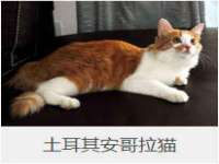 江苏昌仁贸易有限公司