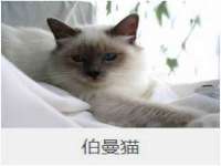 江苏昌仁贸易有限公司