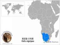 江苏昌仁贸易有限公司