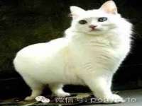 江苏昌仁贸易有限公司