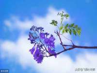 江苏昌仁贸易有限公司
