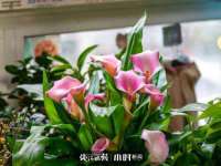 江苏昌仁贸易有限公司