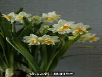 江苏昌仁贸易有限公司