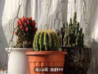 江苏昌仁贸易有限公司