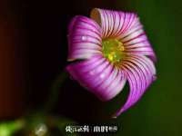 江苏昌仁贸易有限公司