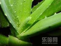 江苏昌仁贸易有限公司