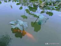 江苏昌仁贸易有限公司