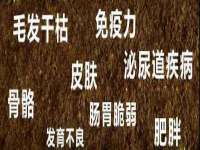 江苏昌仁贸易有限公司