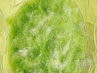 江苏昌仁贸易有限公司