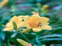 江苏昌仁贸易有限公司