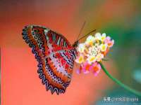 江苏昌仁贸易有限公司