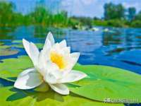 江苏昌仁贸易有限公司