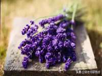 江苏昌仁贸易有限公司