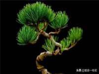 江苏昌仁贸易有限公司