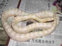 江苏昌仁贸易有限公司