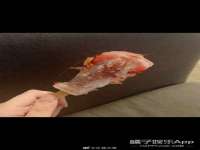 江苏昌仁贸易有限公司